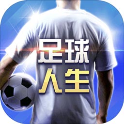 IM体育娱乐平台