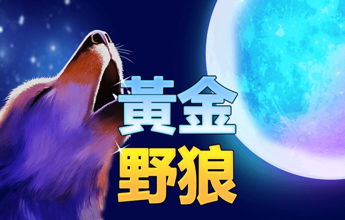 滑雪锦标赛
